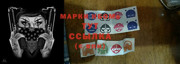твердый Иннополис
