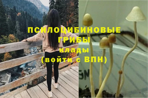 спиды Инсар