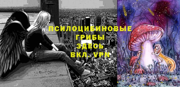 марки nbome Инта