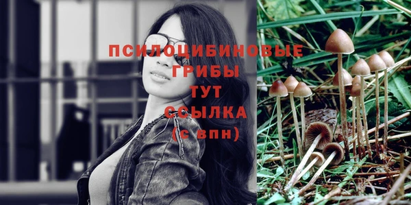 марки nbome Инта