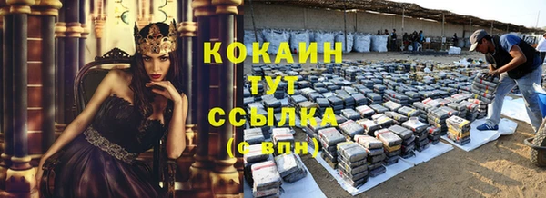 спиды Инсар