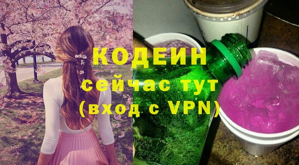 твердый Иннополис