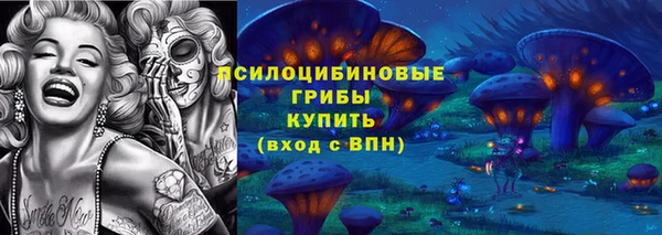 твердый Иннополис