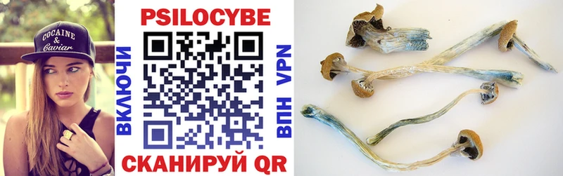 Купить  Нижняя Салда  Псилоцибиновые грибы мицелий 